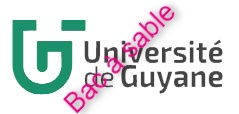 Université de Guyane - bac à sable